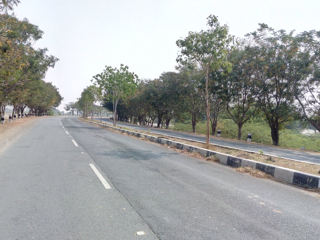 Pulivendula town in Andhra Pradesh (file photo)