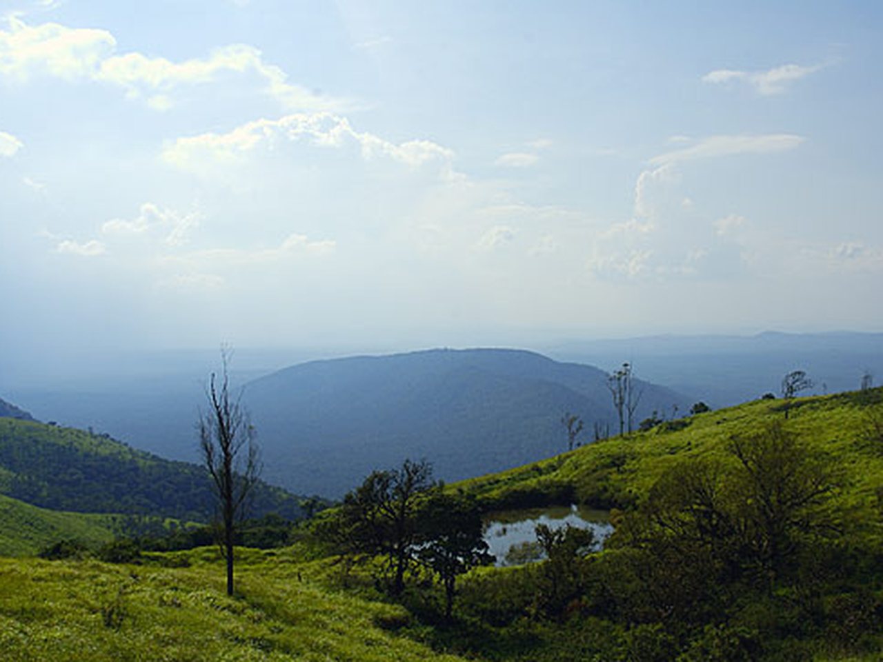 Gopalaswamy Betta hill in Bandipur National Park, Karnataka (file photo)