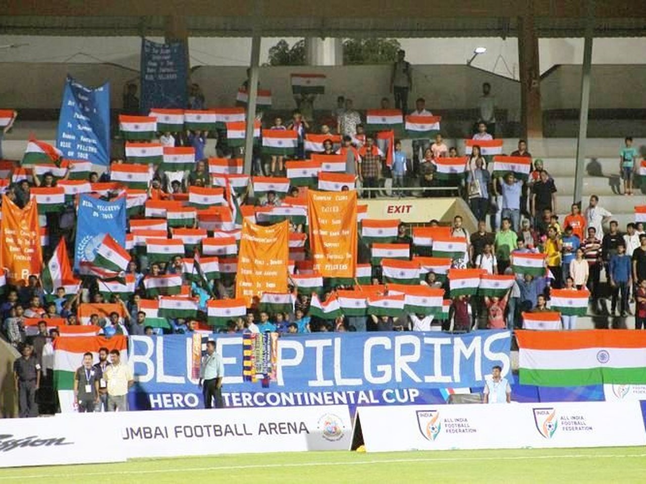 India fans at a national team match (file photo)