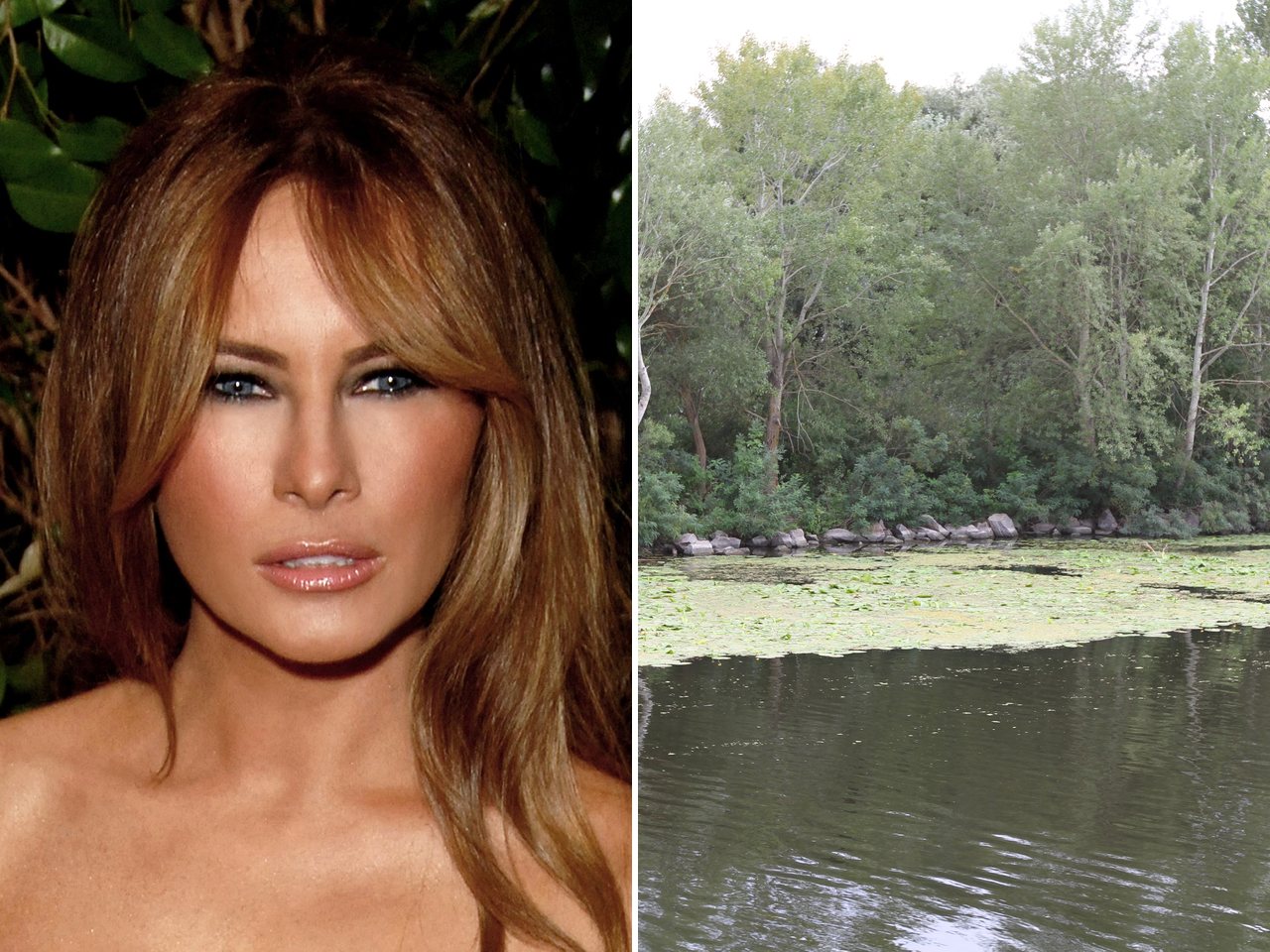 US first lady Melania Trump (file photo)