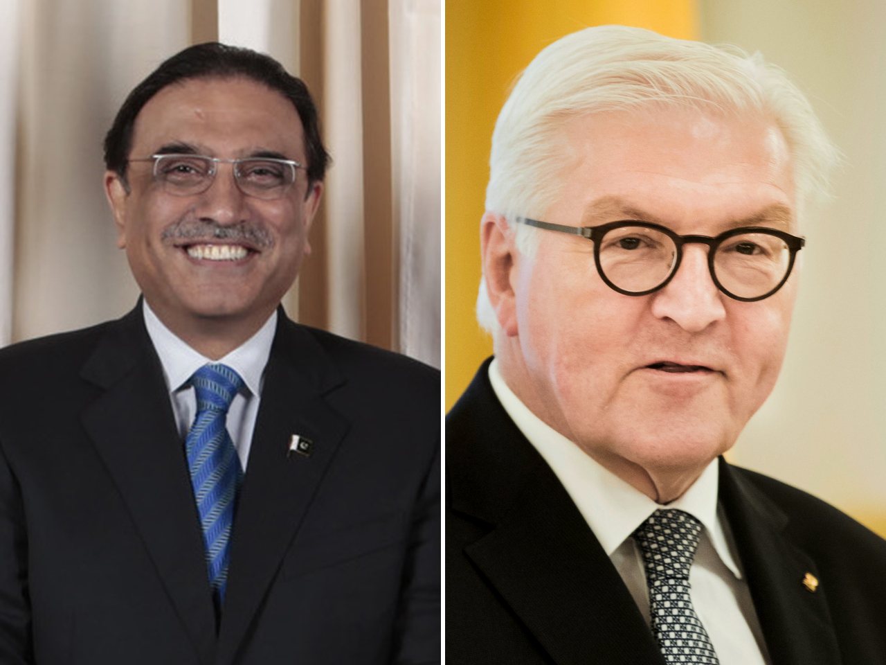 Pakistan President Asif Ali Zardari and German President Frank-Walter Steinmeier (file photos)